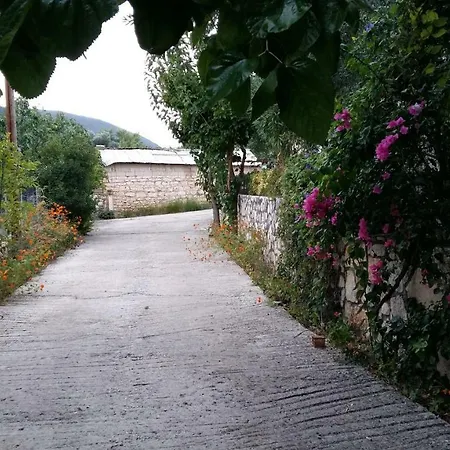 The Stone House-zacharatos Nikolaos Holiday home Poulata